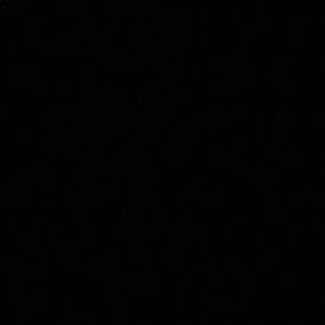 Meet your Posher, Ben